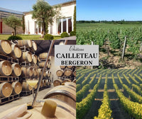 Vertical Masterclass Tasting with Chateau Clos Mansio