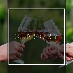 Crush Course Sensory Wine Education & Tasting  NON MEMBERS Monday October 2