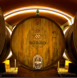 Exclusive Wine Tasting with Elisa Rabino of Sordo Winery – A Journey Through the Langhe NON-MEMBERS